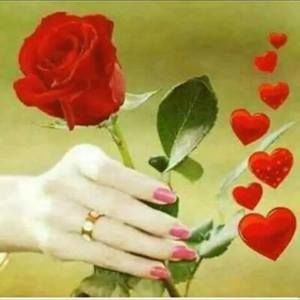 Meet your Posher, May